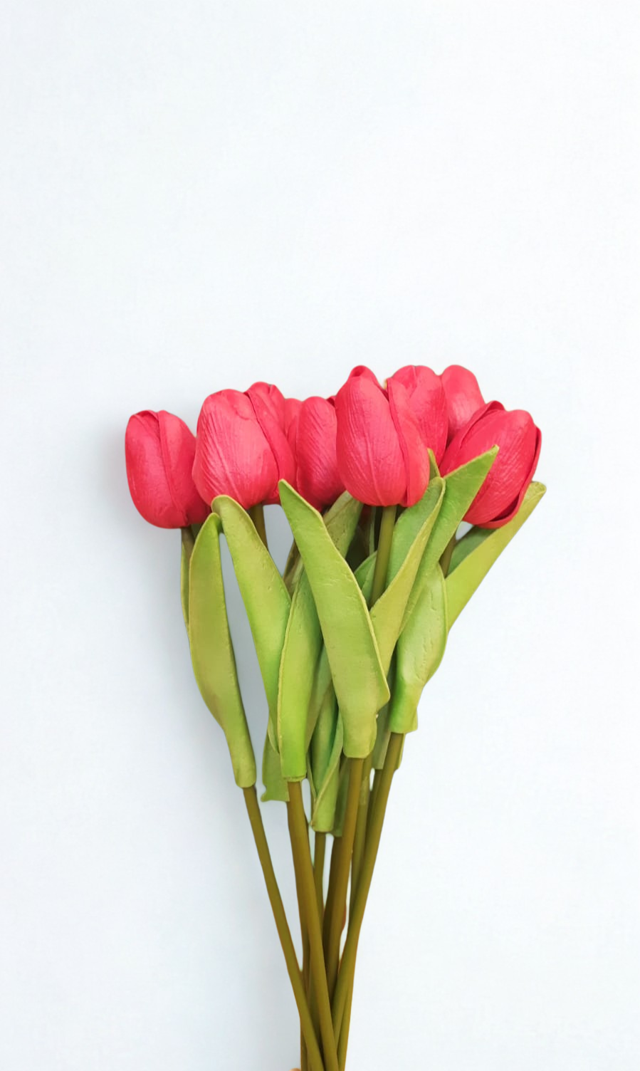 The Belgravia Ruby Tulips - Red
