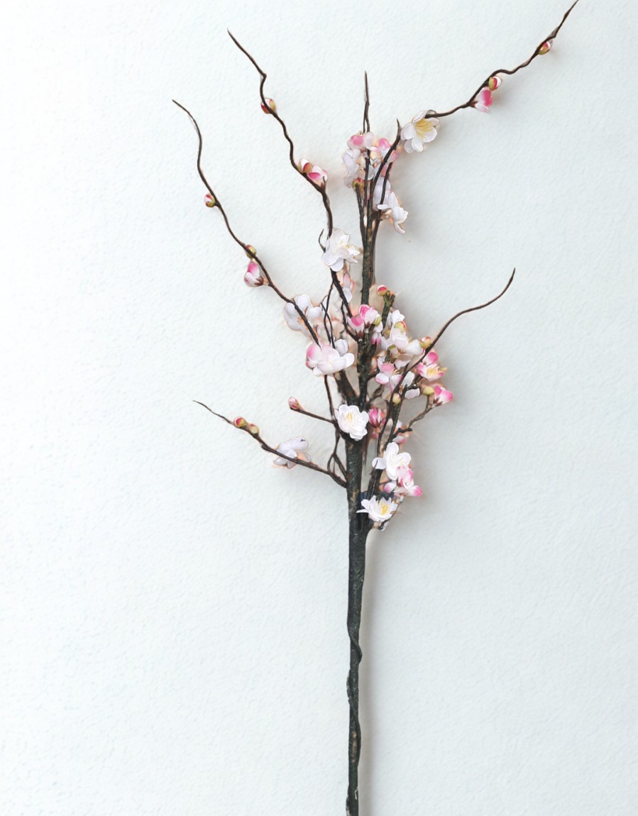 The Sakura Bloom Stem