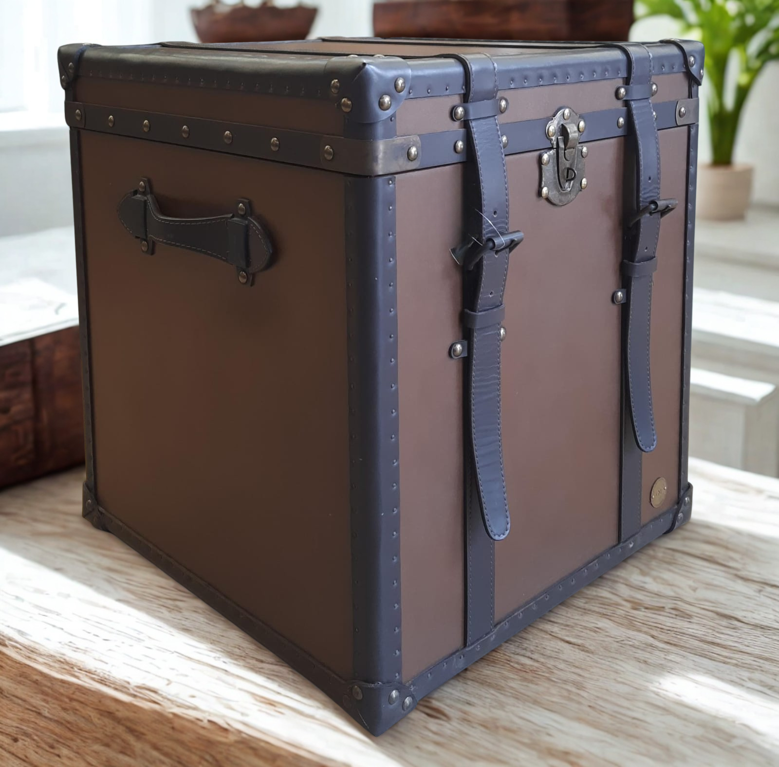 Cambridge Vintage Leather Trunk