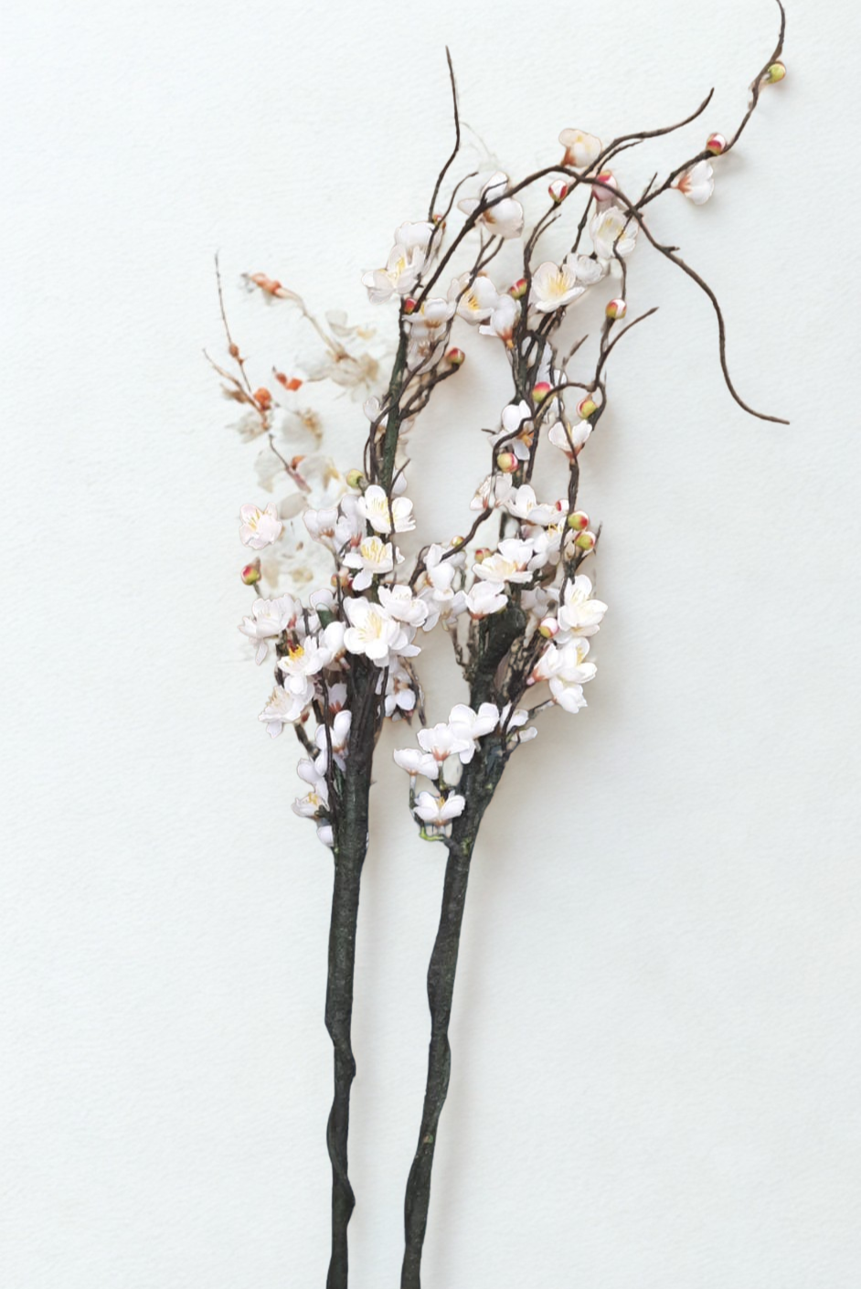 The Devonshire Blossom Stem – Winter Bloom