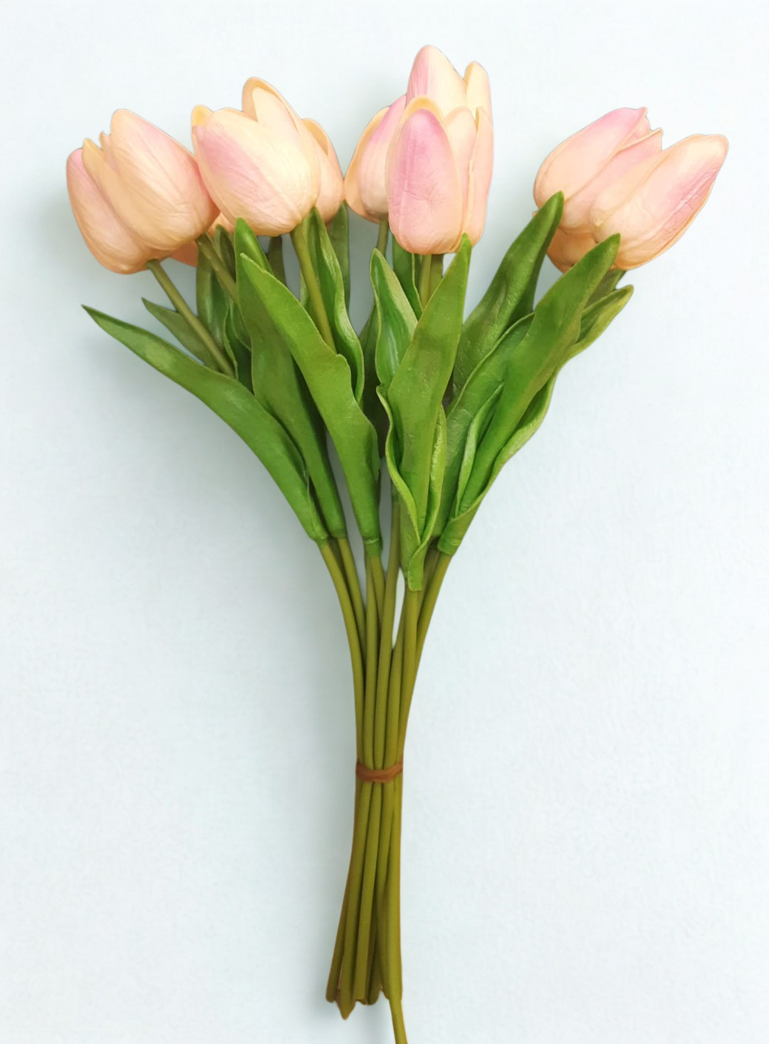 The Belgravia Blush Tulips – Blush Pink