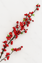 The Devonshire Blossom Stem