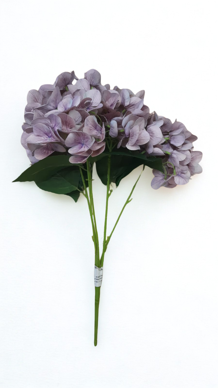 The Lavenderhill Hydrangea Bloom