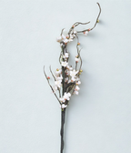 The Devonshire Blossom Stem – Winter Bloom