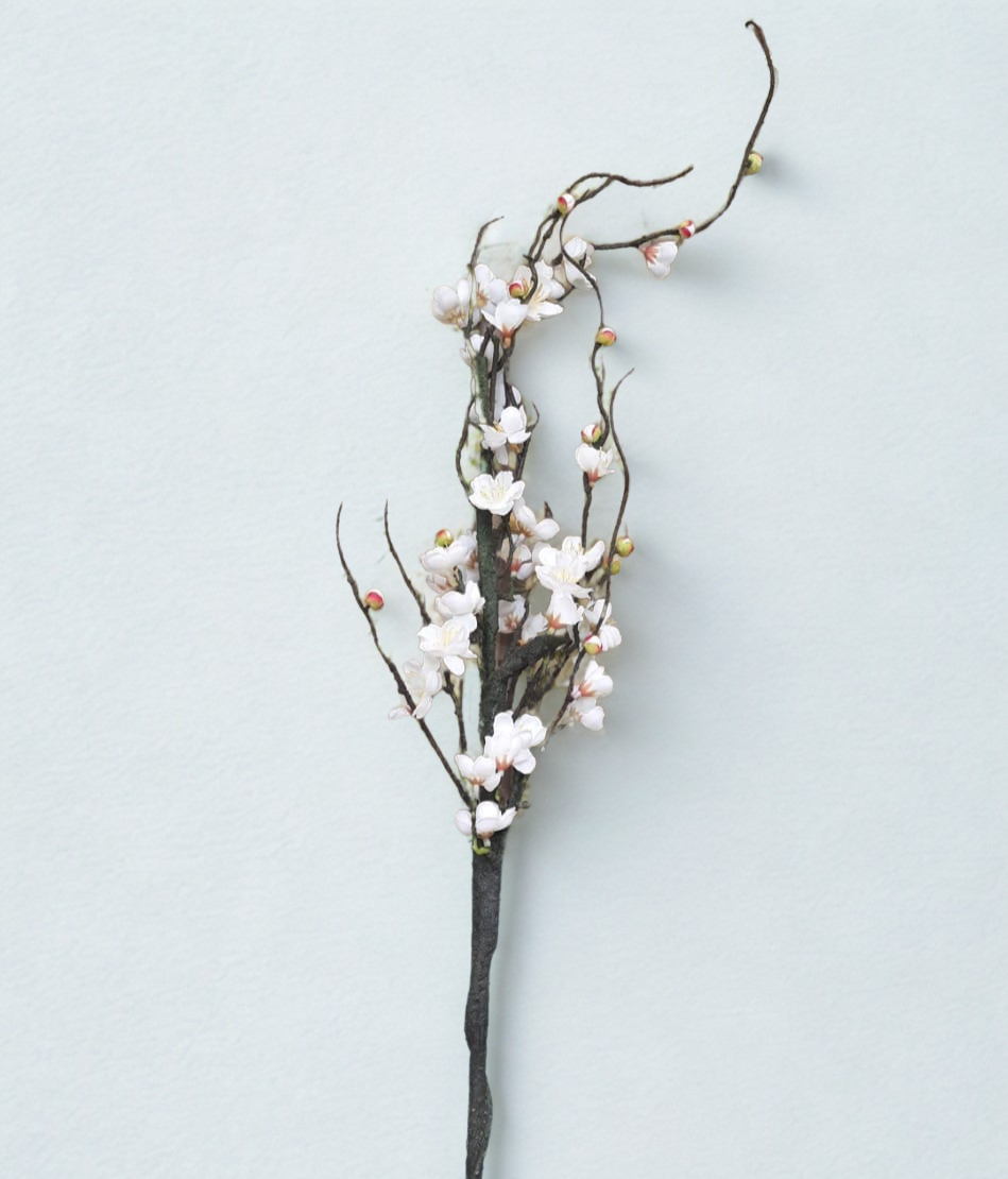 The Devonshire Blossom Stem – Winter Bloom