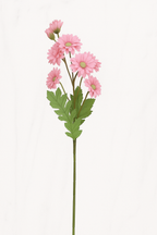 The Dahlia Bloom Stem – Soft Coral