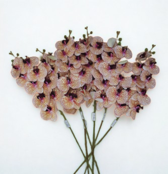 The Orchid Stem – Peach Mosaic