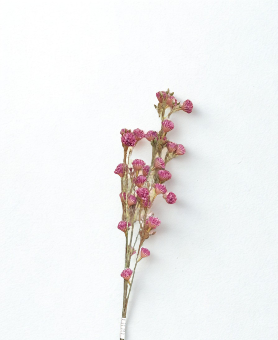 The Dorset Meadow Spray – Berry Pink Wild Bloom