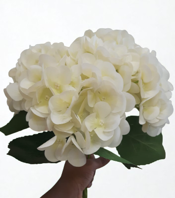 The Bloomsbury Hydrangea – Classic White
