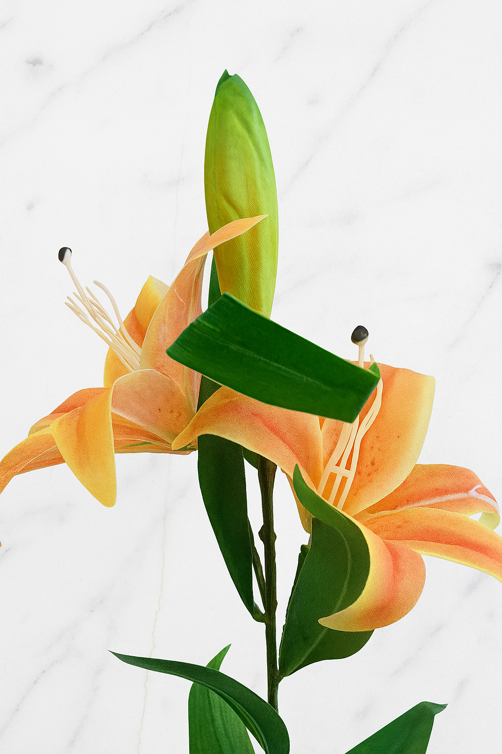 The Kensington Lily Stem – Orange Flame
