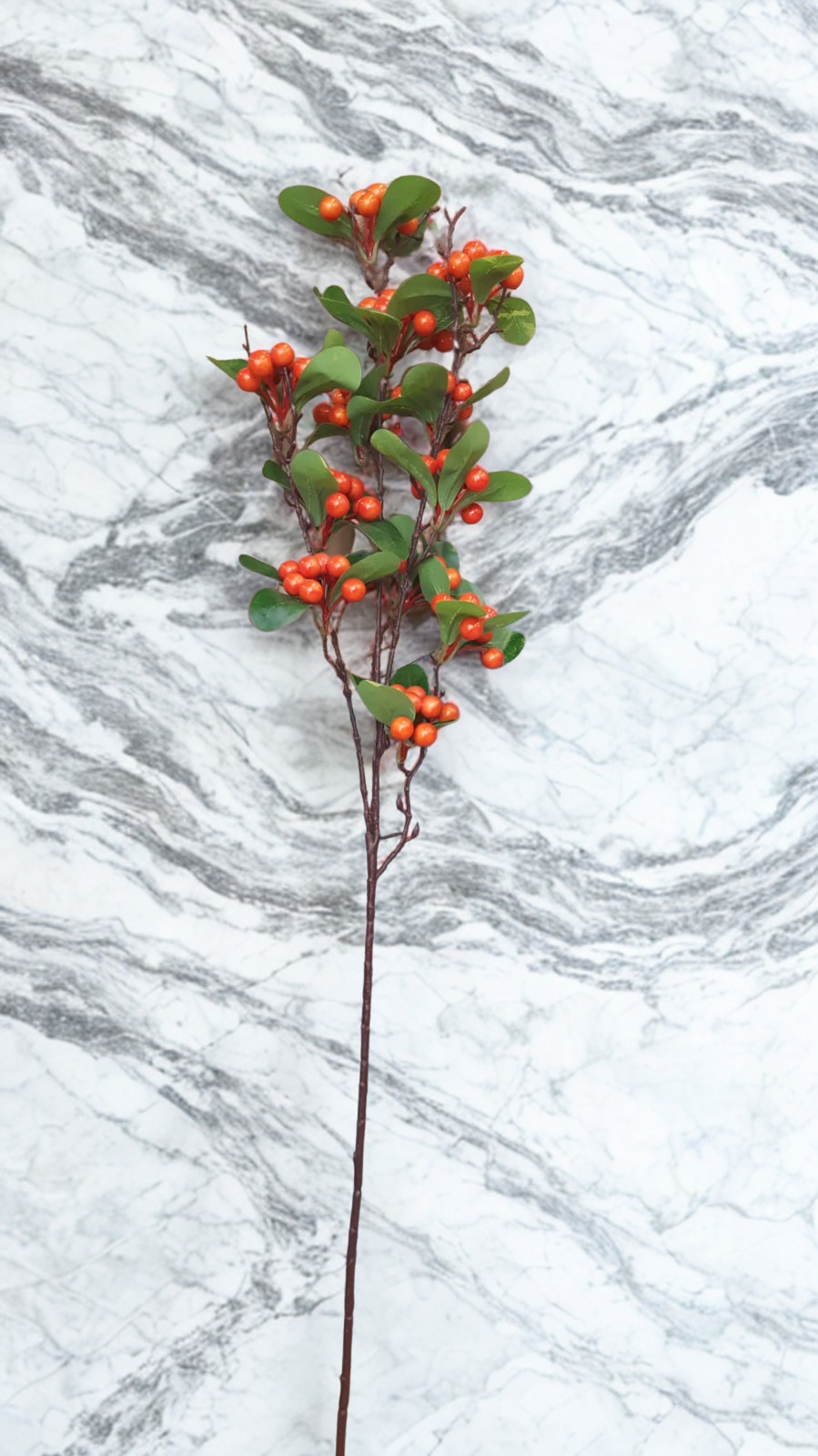 The Cranbourne Holly Stem - Orange