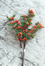 The Cranbourne Holly Stem - Orange