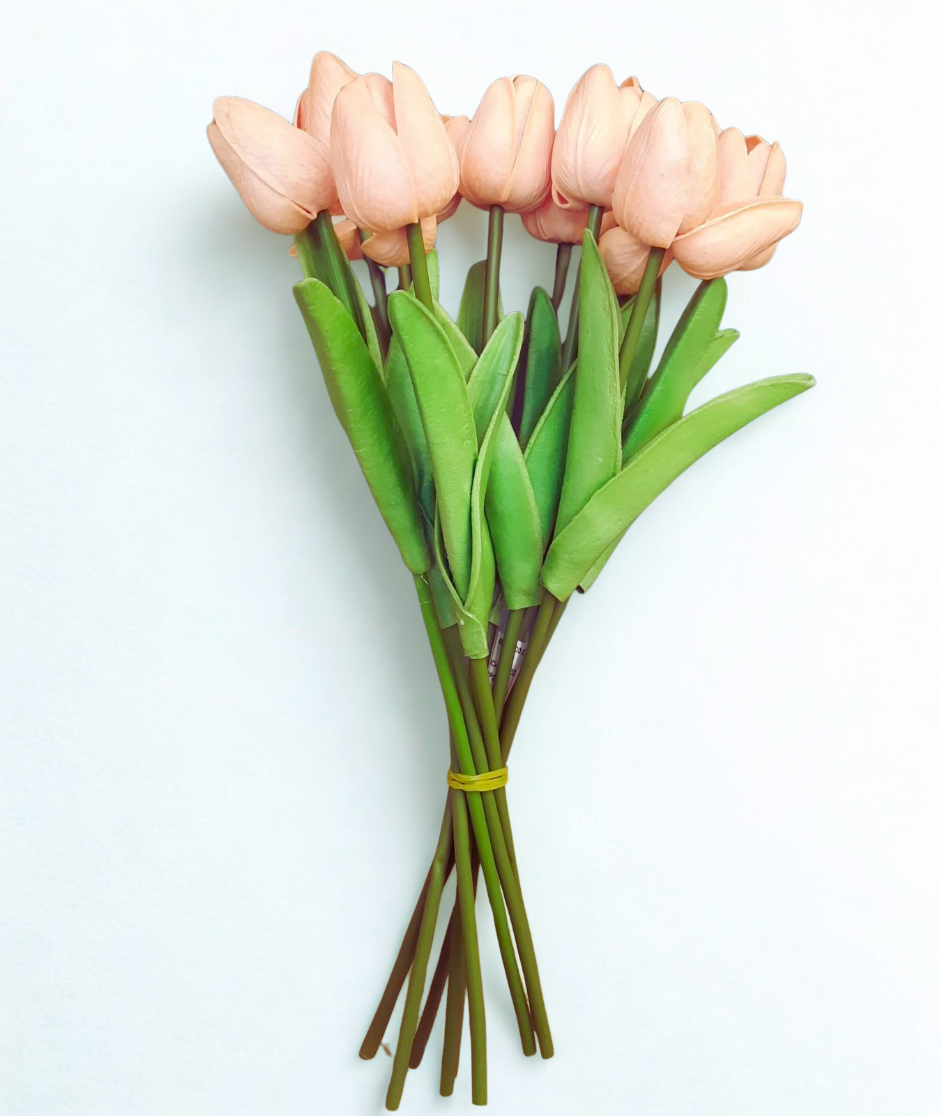 The Belgravia Dawn Tulips - Peach