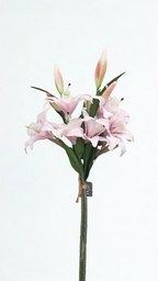 The Chelsea Lily Spray – Blush Pink