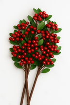 The Cranbourne Holly Stem