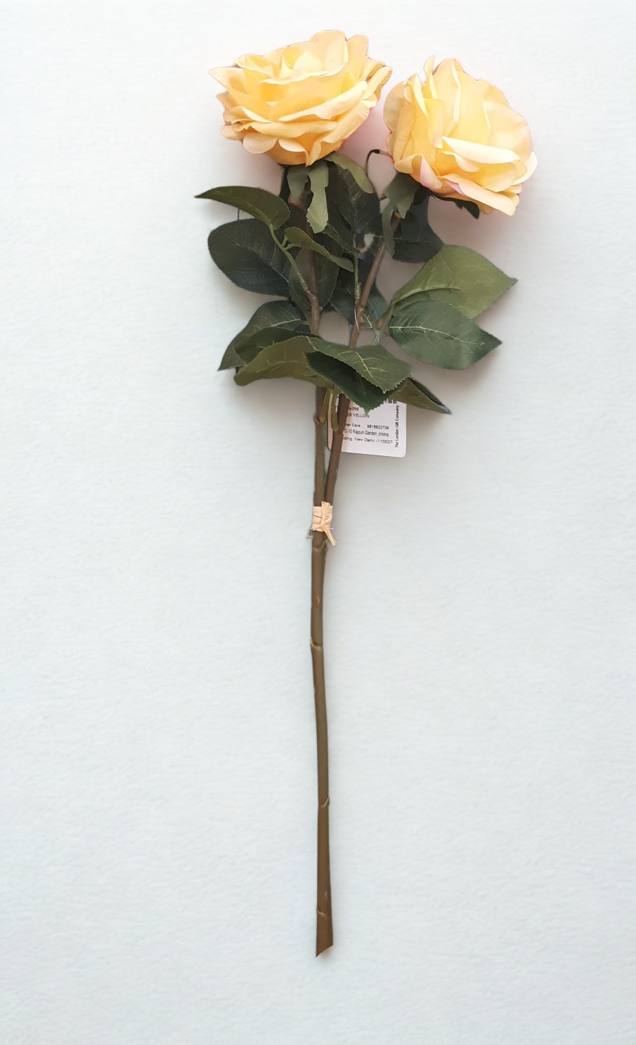 The Mayfair Velvet Rose – Butter Yellow