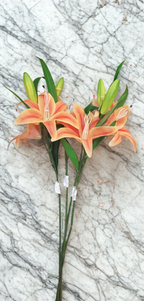 The Kensington Lily Stem – Orange Flame