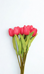 The Belgravia Ruby Tulips - Red