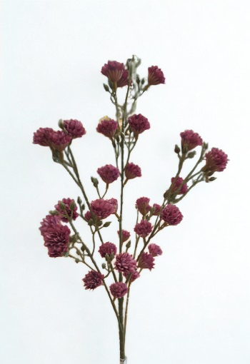 The Dorset Meadow Spray – Berry Pink Wild Bloom