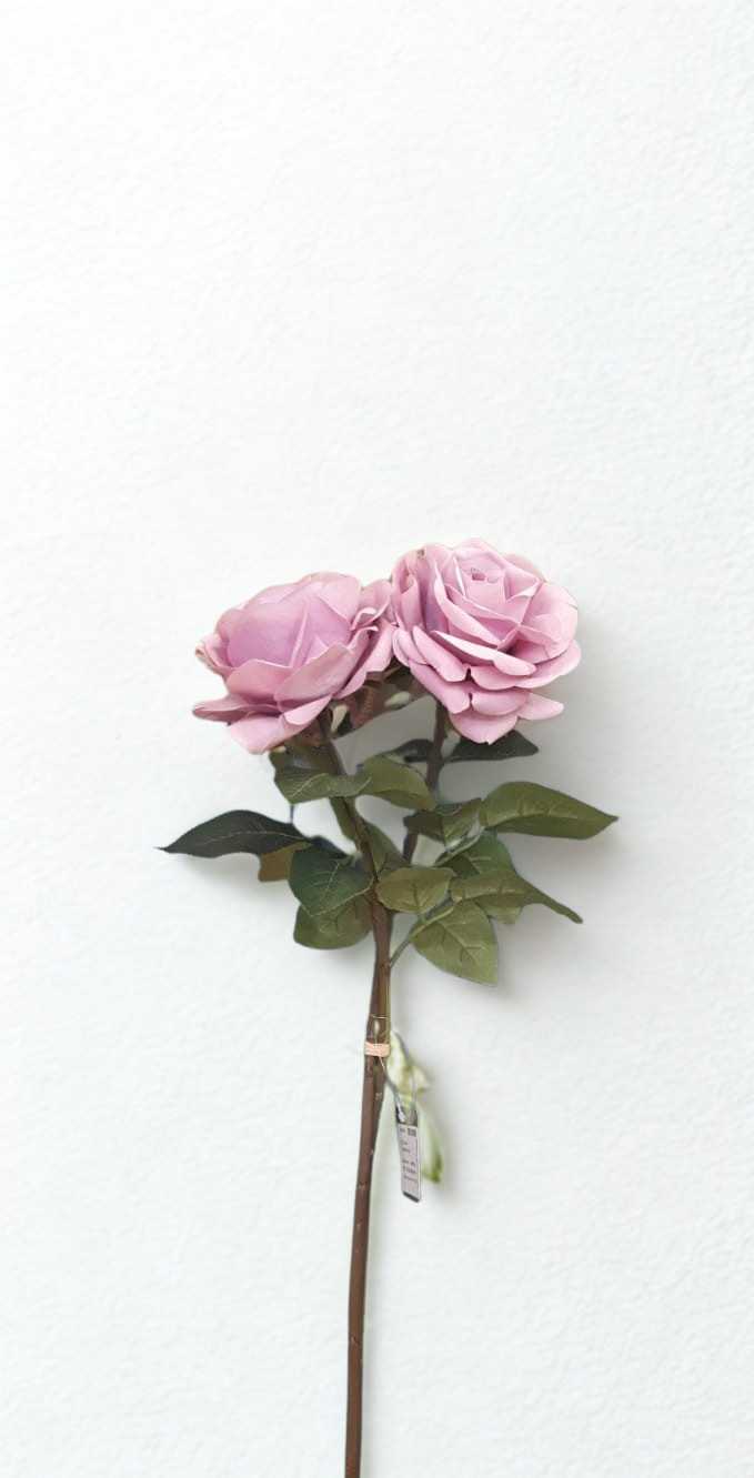 The Mayfair Velvet Rose