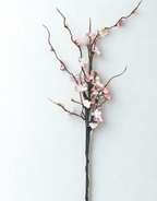 The Sakura Bloom Stem