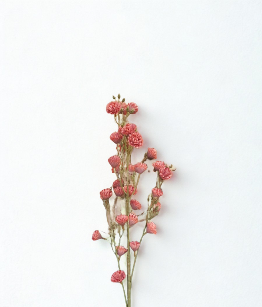 The Dorset Meadow Spray – Coral Wild Bloom