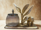 The Grand Elephant Palm Jar Set - Large