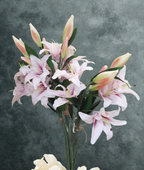The Chelsea Lily Spray – Blush Pink