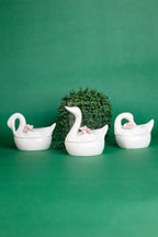 The Celeste Swan Trinket Box
