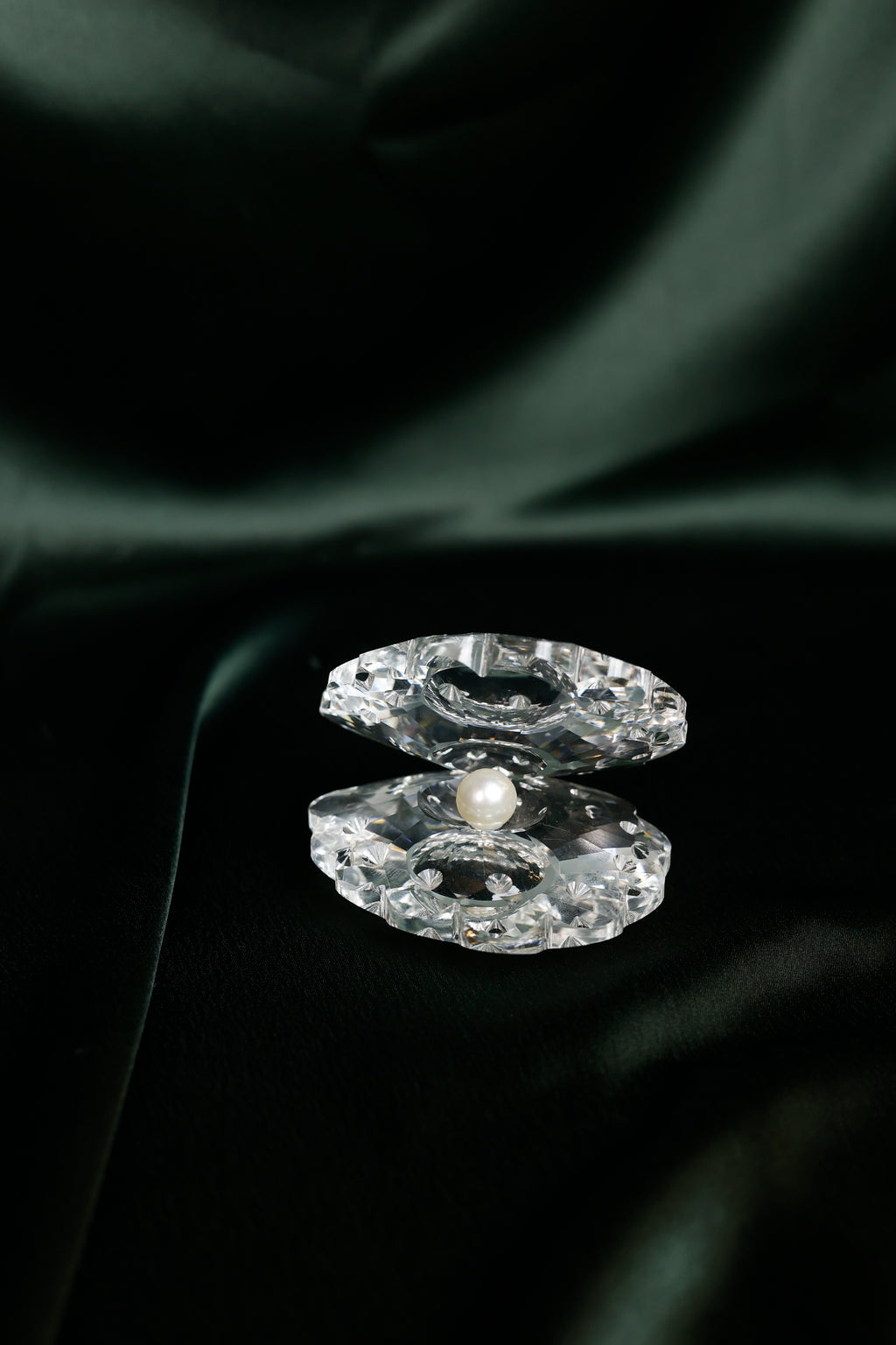 The Crystal Oyster with Pearl