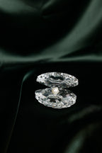 The Crystal Oyster with Pearl
