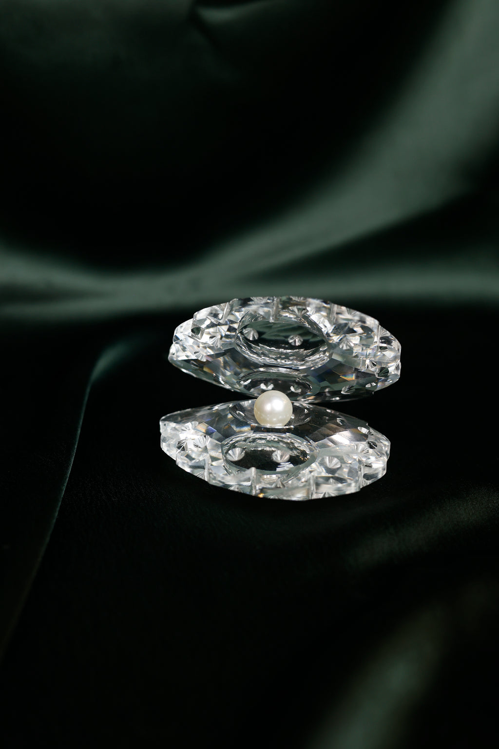 The Crystal Oyster with Pearl