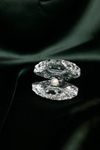 The Crystal Oyster with Pearl