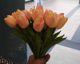 The Belgravia Dawn Tulips - Peach
