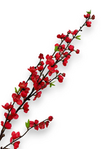 The Devonshire Blossom Stem