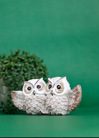 The Twin Wisdom Owl Accent