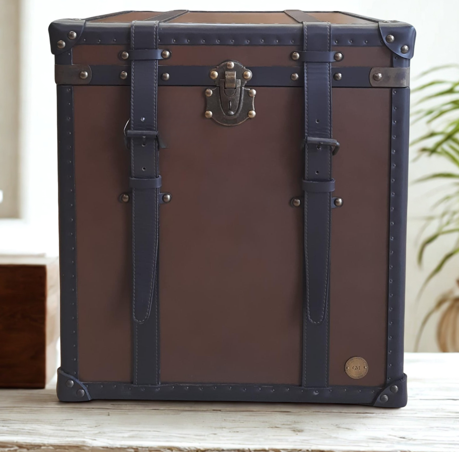 Cambridge Vintage Leather Trunk