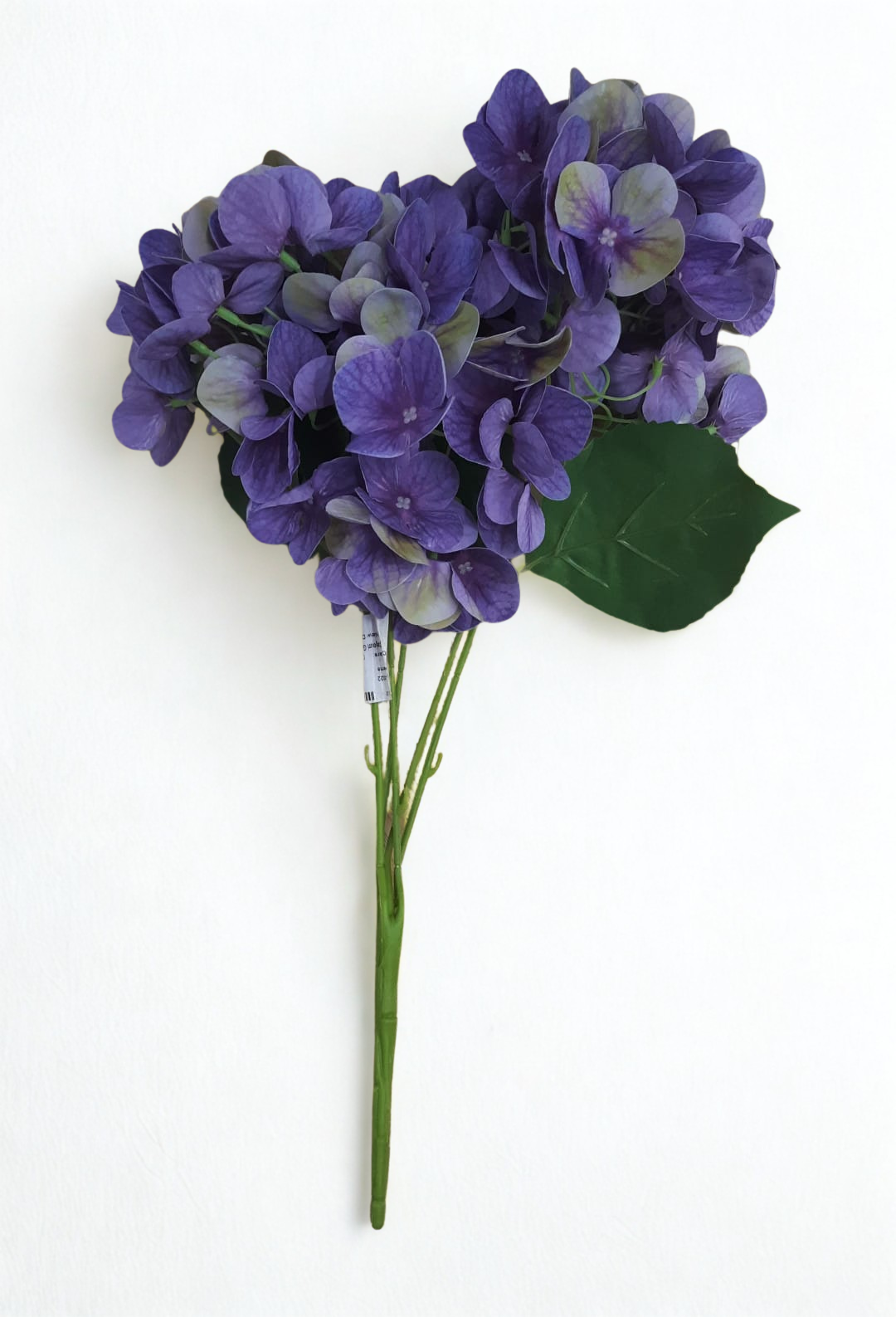 The Mauve Hydrangea Bloom