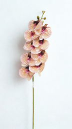 The Orchid Stem – Peach Mosaic