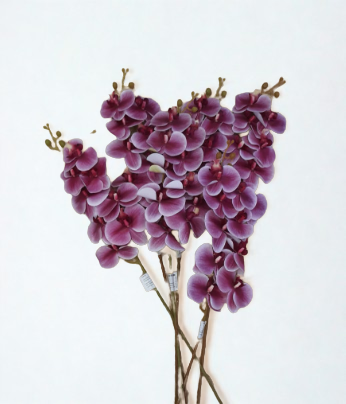 The Orchid Stem – Plum Ombre