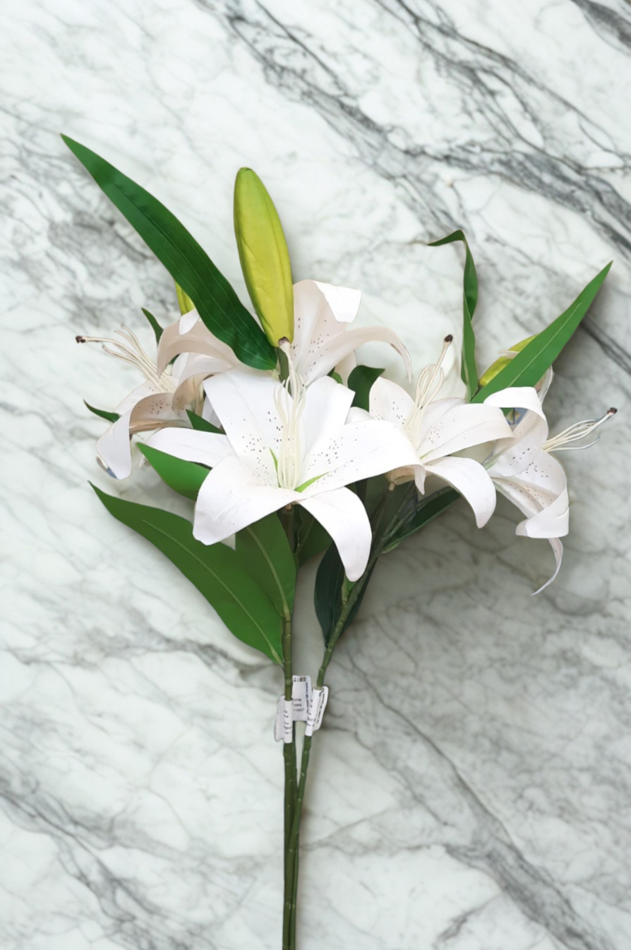 The Kensington Lily Stem – White Winter Bloom