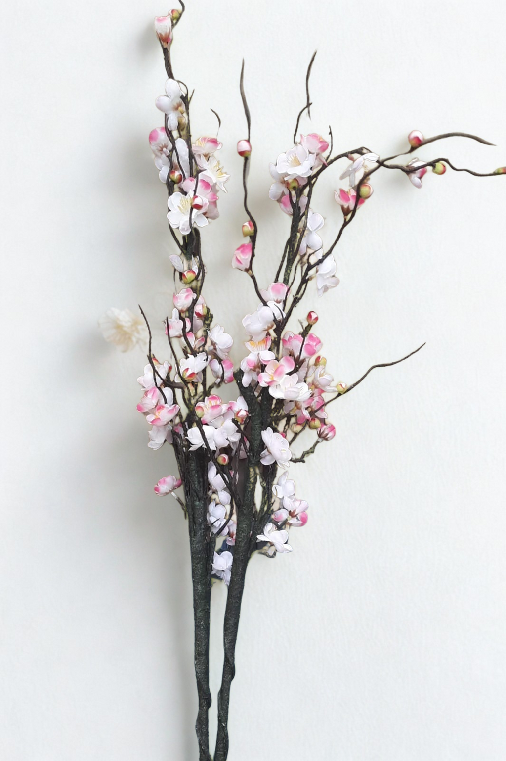 The Sakura Bloom Stem