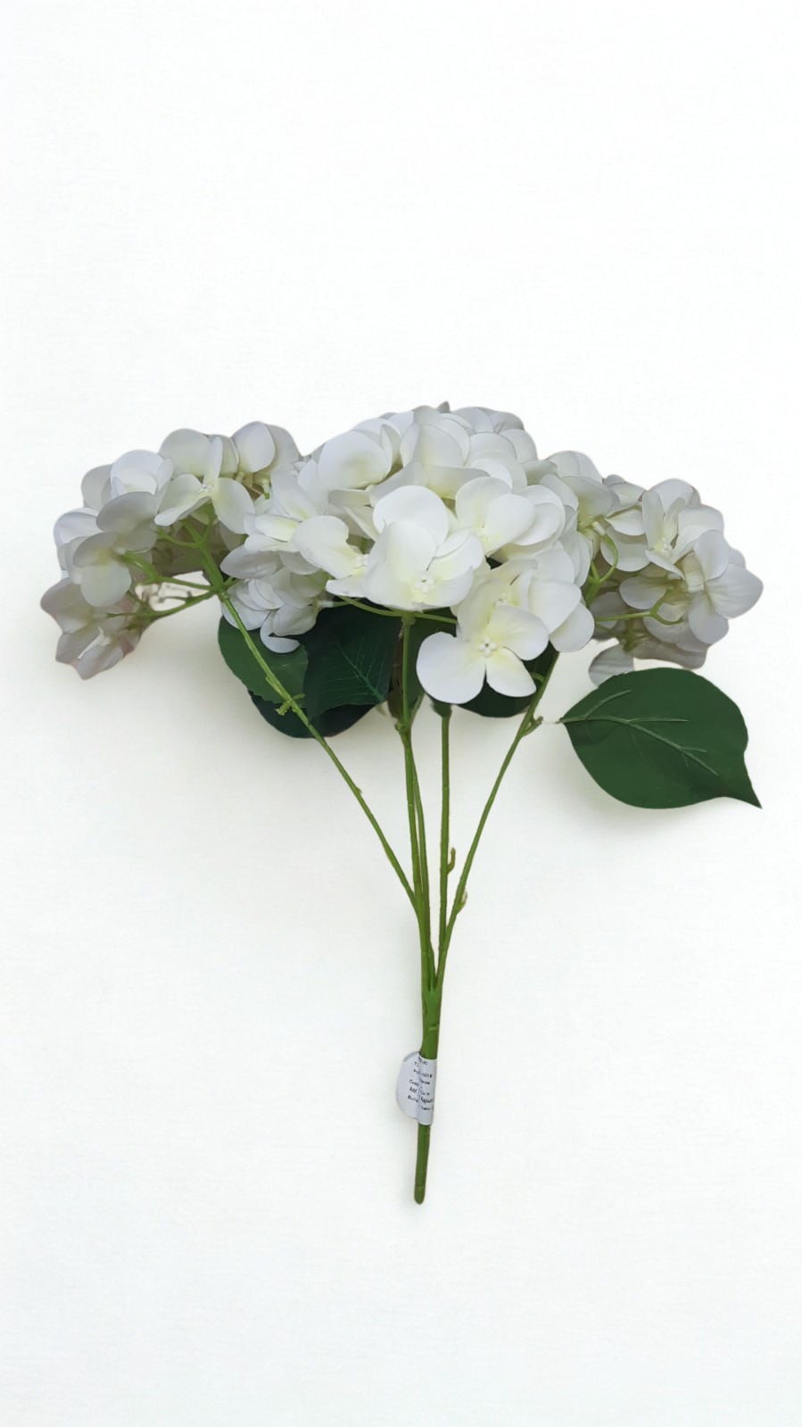 The Bloomsbury Hydrangea – Classic White