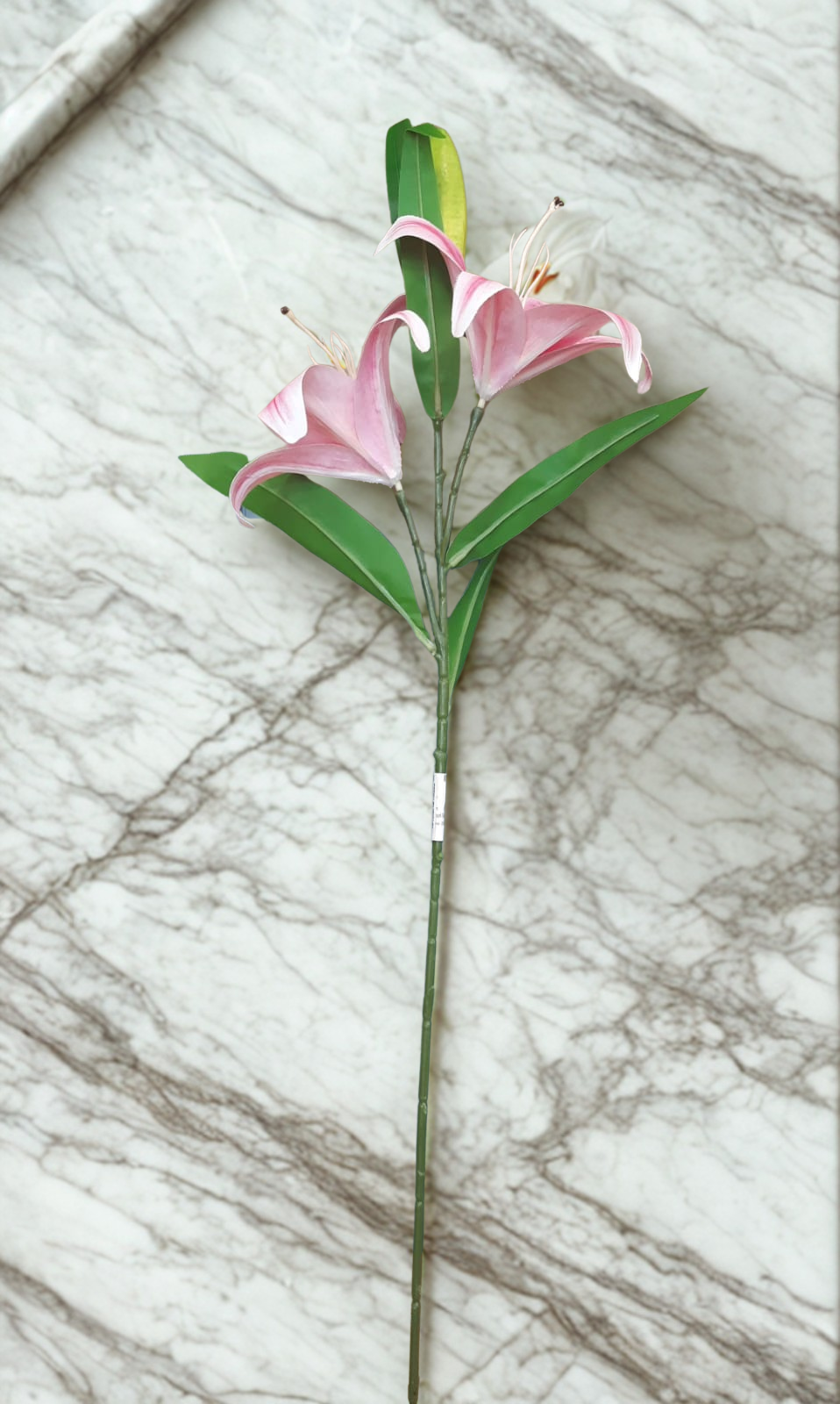 The Kensington Lily Stem – Blush Pink