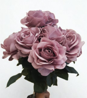 The Mayfair Velvet Rose