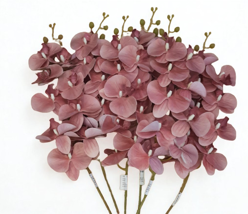 The Orchid Stem – Dusty Rose