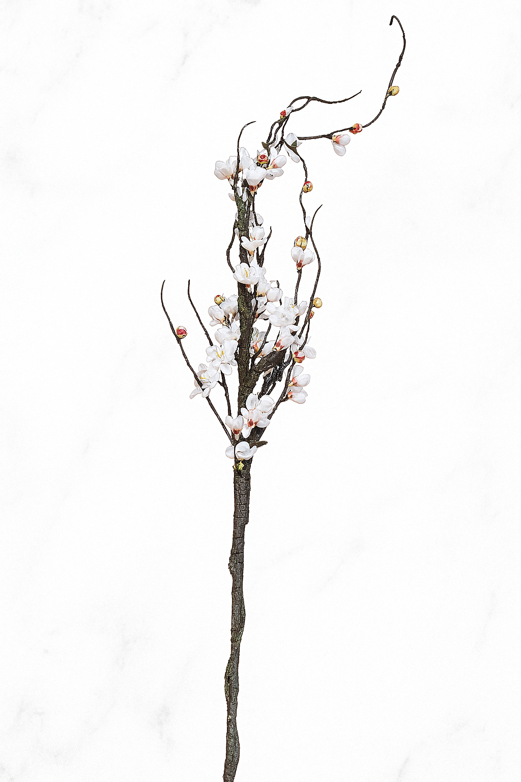 The Devonshire Blossom Stem – Winter Bloom