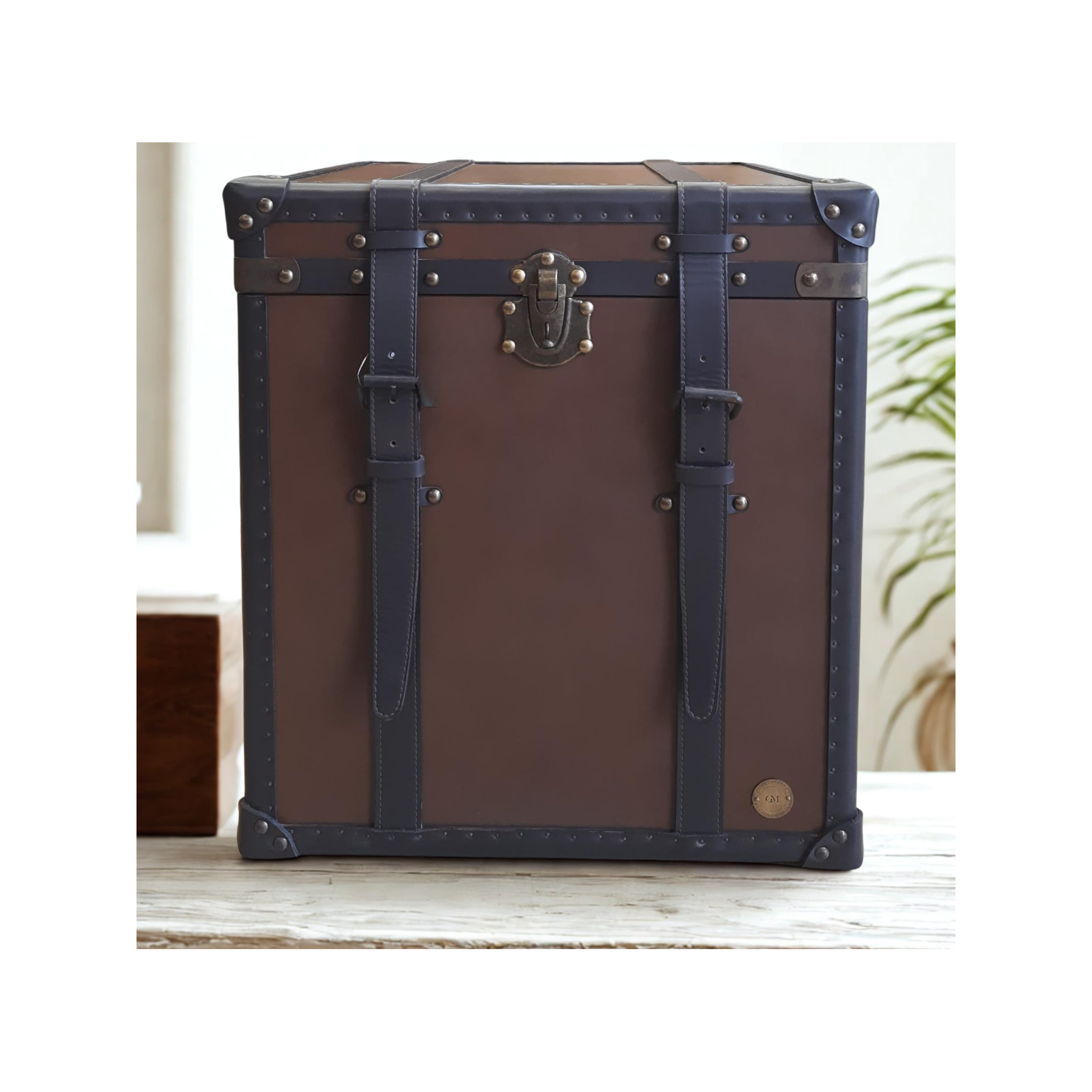 Cambridge Vintage Leather Trunk