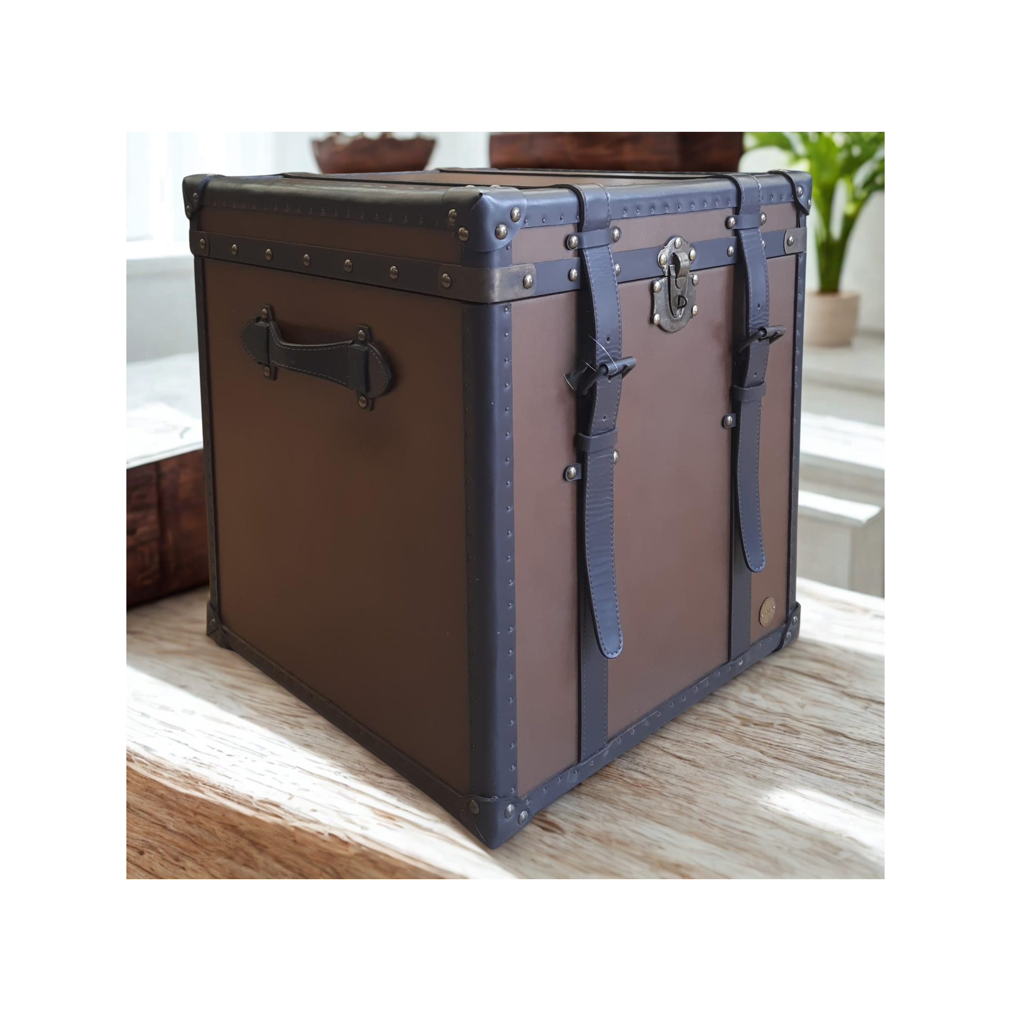 Cambridge Vintage Leather Trunk
