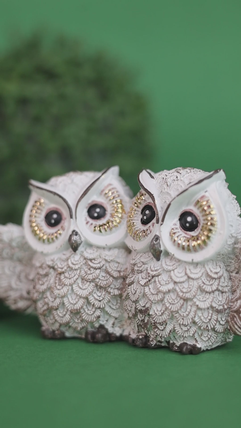 The Twin Wisdom Owl Accent